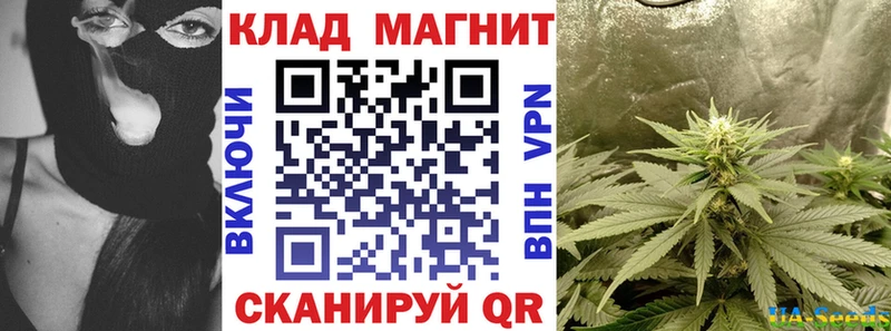 Купить закладку Пошехонье Галлюциногенные грибы СК Мефедрон Кокаин
