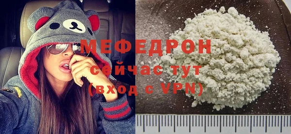 хмурый Аркадак
