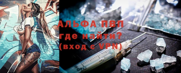 хмурый Аркадак