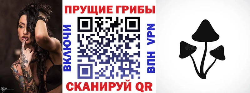 магазин продажи наркотиков  omg вход  Псилоцибиновые грибы Cubensis  Пошехонье 